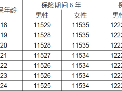 国寿鑫安宝两全保险利益条款费率.zip