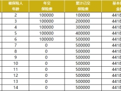 2024国华永乐福终身寿险利益演示建议书.xlsx 