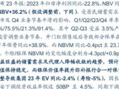 2024中国平安NBV大幅增长而利润指标略低于预期14页.pdf 