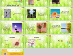 每日快乐早会24年5月6日使用13页.pptx