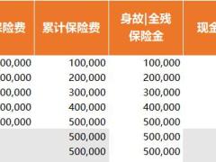 国联人寿鑫运年年终身寿险计划书.xlsx