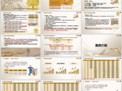 珠江增寿年年终身寿险案例介绍特色介绍26页.pptx 