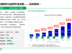 中宏保险宏福相伴互联网终身寿险产品形态投保规则运营规则案例20页.pptx