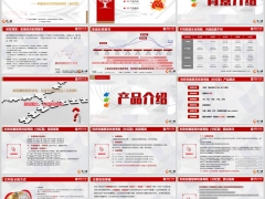 利安安鑫慧享终身寿险分红型背景产品介绍案24页.pptx