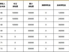 国华泰山盈两全保险分红型建议计划书.xlsx 