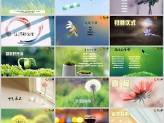 欢迎新伙伴迎新早会流程16页.pptx