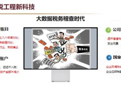 企业主的税务风险债务风险家庭资产保全规划方案31页.pptx