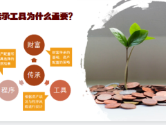 财富传承的法律密码传承工具的规则逻辑传承载体29页.pptx