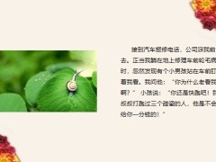 每日快乐早会23年10月16日使用12页.pptx