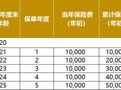 大家养老福满满2号养老年金保险计划书.xlsx
