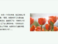 每日快乐早会23年8月28日使用12页.pptx