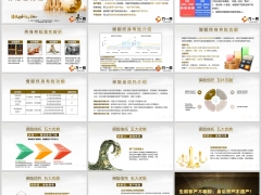 终身寿险属性解析介绍保险金信托介绍五大优势背景理念篇35页.pptx