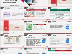 中荷安享健康重大疾病保险开发背景产品解析特点投保案例服务32页.pptx