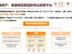 泰康资产投资实力解读优异业绩宣传片22页.pptx
