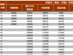 瑞众人寿传家宝瑞众一号版终身寿险搭配金管家2023版.xlsx