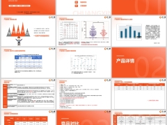 北京人寿擎天柱8号产品背景详情竞品对比方案推荐24页.pptx 