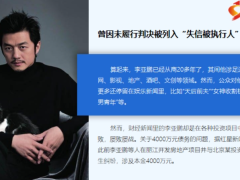 李亚鹏欠4.5亿成被强制执行查封房产11页.pptx
