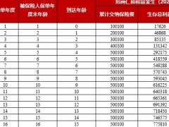 招商仁和和富金生2024保险产品计划利益自动演示.xlsx 