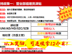 2024团队人力发展增员支持政策目的意义四月方案29页.pptx