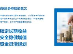 中英人寿臻爱永恒终身寿险产品特色形态投保规则示例17页.pptx