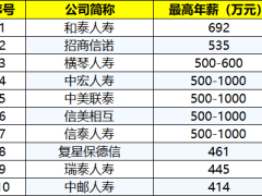 2023年非上市寿险及再保险公司最高薪酬.xlsx