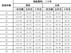 民生百万能量优行保两全保险条款费率.zip