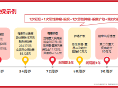 中华产品体系及增值服务介绍产品特色投保示例20页.pptx