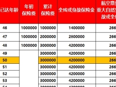 人保寿险臻盈一生终身寿险投保自动建议书.xlsx 