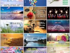 团队庆生早会流程鲜花模板15页.pptx