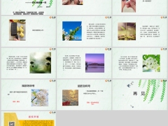 每日快乐早会24年4月26日使用13页.pptx 