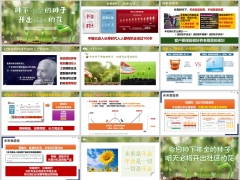 2024养老专题年金险理财最佳工具趋势推动片12页.pptx