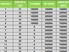瑞众南山松瑞享版终身寿险产品计划书案例演示.xlsx 