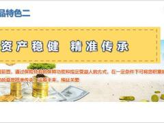 中英人寿鑫享未来2终身寿险产品开发背景特色与形态投保示例24页.pptx