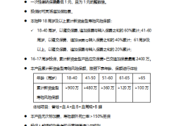 阳光人寿阳光盈终身寿险万能型投保规则保全规则条款费率.zip