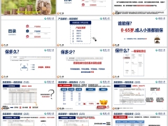 泰康稳赢3.0两全保险产品概述解析投保案例24页.pptx 