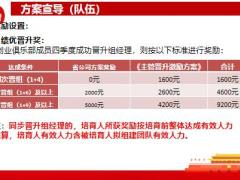 2023年四季度队伍建设方案宣导版方案介绍利益要点实例分析33页.pptx