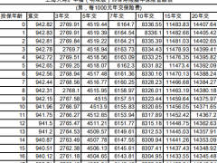 上海人寿沪申福明珠版终身寿险条款费率.zip