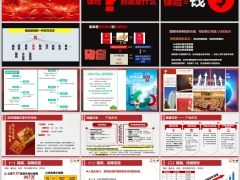 国寿臻鑫传家终身寿险如意福产品形态案例演示34页.pptx 