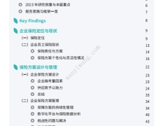 企业员工保险的设计与管理调研报告29页.pdf 