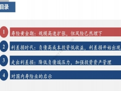 日本险企如何走出利差损及对我们的启示33页.pdf 