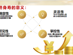 信泰如意尊创赢版终身寿险产品优势案例演示31页.pptx