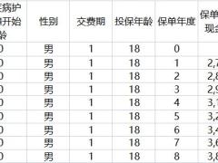 复星联合光辉岁月保险保险简易自动计划书.xlsx
