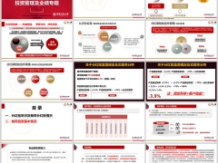 招商仁和分红险常识投资基本情况业绩30页.pptx 