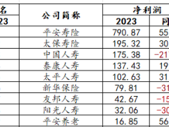 2023年寿险公司盈利榜亏损榜.xlsx 