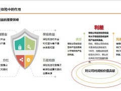寿险价值培训保险投资的方式和挑战约束应对举措29页.pptx