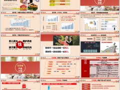 东吴乐享福养老年金保险产品计划开发背景产品介绍案例28页.pptx 