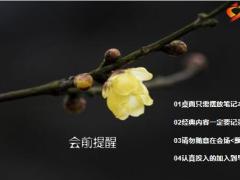 冬天黄色腊梅花早会流程10页.pptx