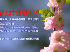 七彩庆生早会流程模板15页.pptx