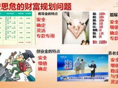 新华人寿荣耀鑫享庆典版双账户组合产品案例演示30页.pptx