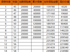 新华人寿荣耀庆典耀产品利益演示自动计划书.xlsm